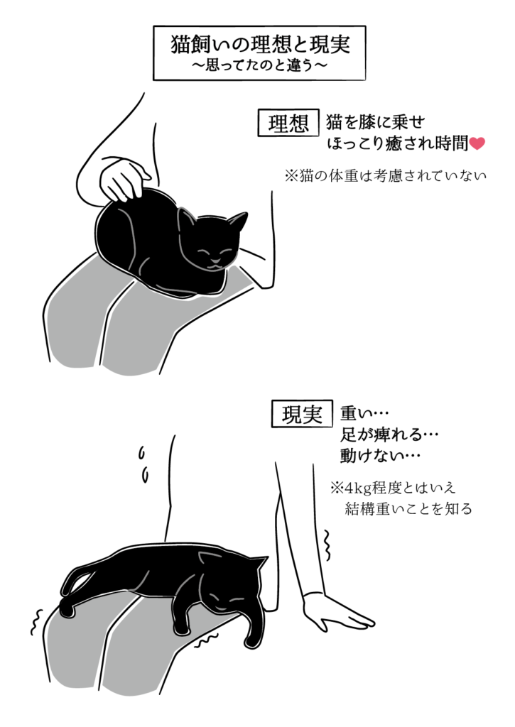 くろねこジルシ27