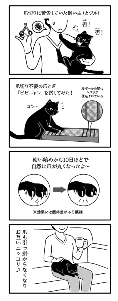 黒猫ジルシその37