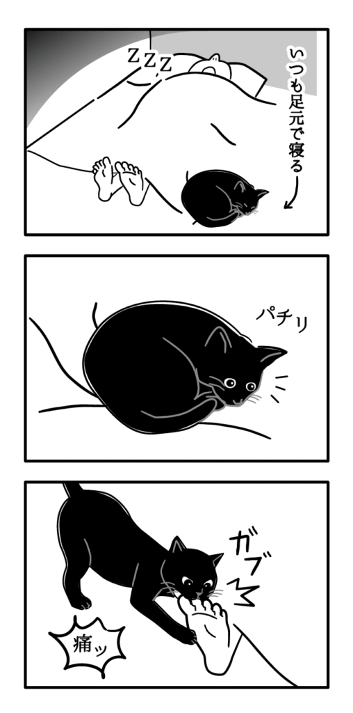 黒猫ジルシ其の38