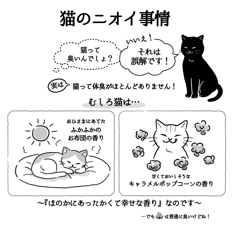 黒猫ジルシその43