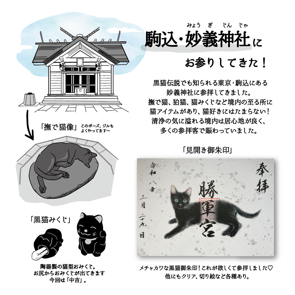 黒猫ジルシその44