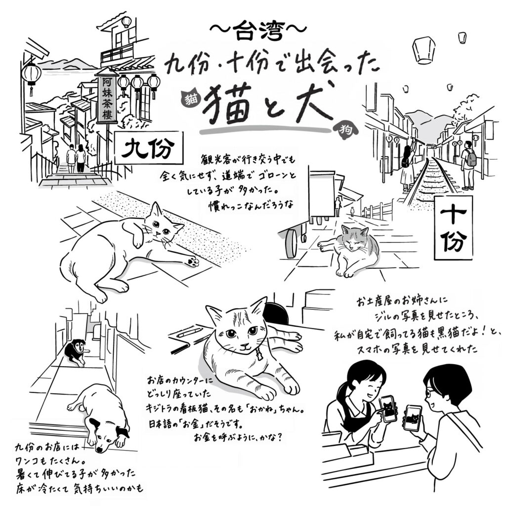 黒猫ジルシその47